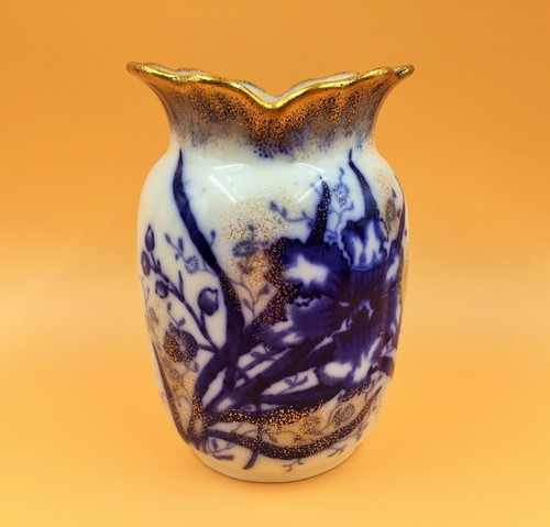 John maddock sons - sons, orchid